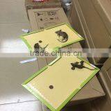 Manufacture Rat Glue Boards And Trap Rat Mouse Gule