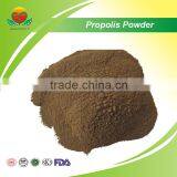 Manufacturer Supply Propolis Powder thumbnail-1
