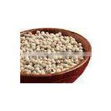 White Pepper thumbnail-1