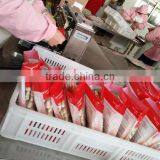 Rawhide Sticks Dog Chew/rawhide With Chicken Dog Treats Food thumbnail-3