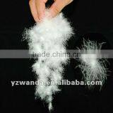 Best Quality 90% Washed White Goose Down,China Factory Supplier thumbnail-2