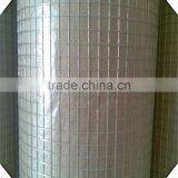 1.8*30m High Quality Galvanized Welded Wire Mesh / PVC Coated Galvanized Welded Wire Mesh for Sale thumbnail-6