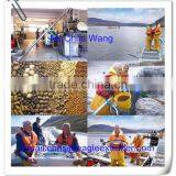 Floating Fish Feed Pellet Extruder/Fish Meal Making Machine thumbnail-1