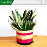 Green Field Canvas Flower Planter,Kitchen Garden Canvas Flower Planter thumbnail-1