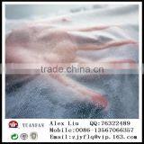 Supply Super Soft Breathable PP Polypropylene Spun-bonded Non-woven Fabrics thumbnail-3