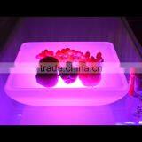 LED Fruit Plate for Sell Led Easter Fruit Plate thumbnail-2