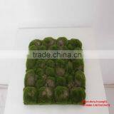 SJH010533 Artificial Green Wall Mini Artificial Plants Artificial Moss for Plant Wall