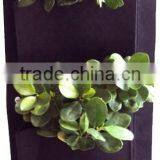 2 Puches Hanging Wall Fabric Pot Container Vertical Garden thumbnail-3