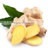 Sweeter Taste of Ginger Tea With Brown Cane Sugar thumbnail-4