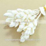 Bamboo Shoot Sola Flower Aroma Diffuser With Reed or Cotton Rope thumbnail-2