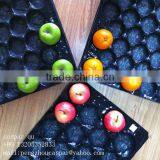 China Professional Manufacturer&Exporter Cheap Food Grade Disposable Soft Thin Plastic Serving PP Fruit Tray thumbnail-2