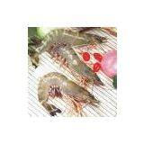 Sell Black Tiger Shrimp (Bangladesh) thumbnail-1