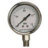 Anhui tiankang YB Stainless Steel Pressure Gauge