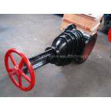 DIN/EN cast iron gate valve