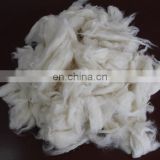 Chinese Sheep Wool Open Tops White 19.5mic/45mm