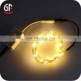 Factory China Intelligent PIR Sensor DC Powered Christmas Led String Lights thumbnail-1