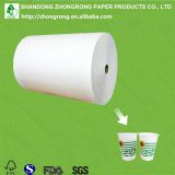raw material for disposable paper cup
