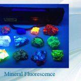 Hebei Niusida International Trading Co.,Ltd company overview - view 2 thumbnail