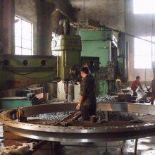 Henan Shuangfu Industry Co.,ltd company overview - view 1 thumbnail