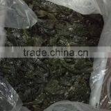 Hot Sale Frozen Seafood Seaweed Salted Laminaria Kelp Buyers thumbnail-4