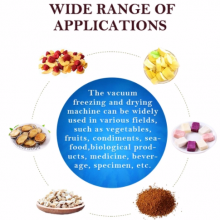Intelligent Upgrade Freeze Vacuum Drying Machine thumbnail-5