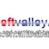 a Professional Packaging Design Companies in China