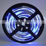 New Arrival Waterproof PU 3528 RGB SMD Led Strip 54LED/Meter RGB Lamps 12V Waterproof IP65 Led Strip Lighting CE/RoHs New thumbnail-6