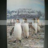 3D Penguin Frame Photos 3D Lenticular Framed Wall Photo for Home Decoration