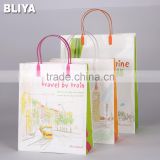 New Listing, Hot Sale, Plastic PVC Bag for Various Usages