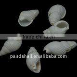 Spiral Shell Beads, Dyed, White, About 19~21x10~11x8~9mm, Hole: 1mm, About 850pcs/500g(BSHE-S062) thumbnail-1