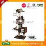 Multi-Level Basic Cat Tree