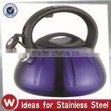 Stainless Steel Whistling Kettle With Coating