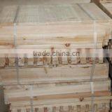 Apis Cerana Beehive thumbnail-3