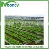 Agricultural Greenhouse thumbnail-2