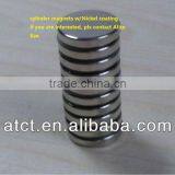 Cylinder Magnets/round Magnets/rare Earth Magnet