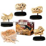 Mini Dinosaur Skull Dig Kit, 4 assorted