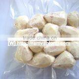 FROZEN TARO with HIGH QUALITY & BEST PRICE