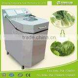 Frequency Converter Control Vegetable Fruit Cabbage Dehydrator dryer drying machine