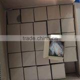 12V Electric Fuel Pump 3797522 4299544 4306842 4464613 in Full Copper Wire. thumbnail-3