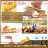 New Design Small Animal Feed Grinder thumbnail-5