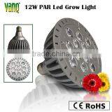 High Quality 12w Led Grow Light,12w Led Spotlight for Plant Growth,Road Plant Growth Light, thumbnail-1