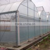 Multi-span Greenhouse With Greenhouse Window Opener System thumbnail-3