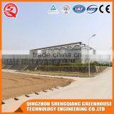 Agricultural Equipment Glass Greenhouses With Strong Wind Load Capacity thumbnail-4