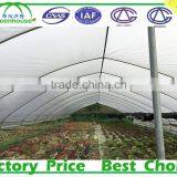 Low Cost Small Greenhouse thumbnail-2
