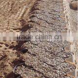 HOT!!!Black Erosion Control Geocell Manufacturer Made From High-density Polyethylene thumbnail-3
