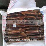 Grey Mullet of Illex Squid thumbnail-1