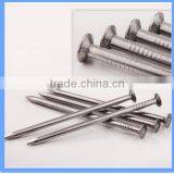 Polished Common Iron Nails With Factory Price thumbnail-6