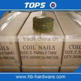 Coil Nails 2.5 x 64 thumbnail-1