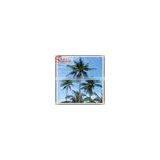 2017 Wholesale Ourdoor Artificial Fack Fiberglass Coconut Tree Decoration thumbnail-2