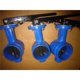BS Grooved End Butterfly Valve